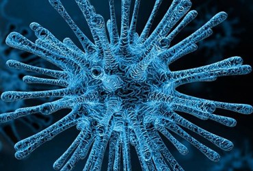 Een afbeelding van het coronavirus